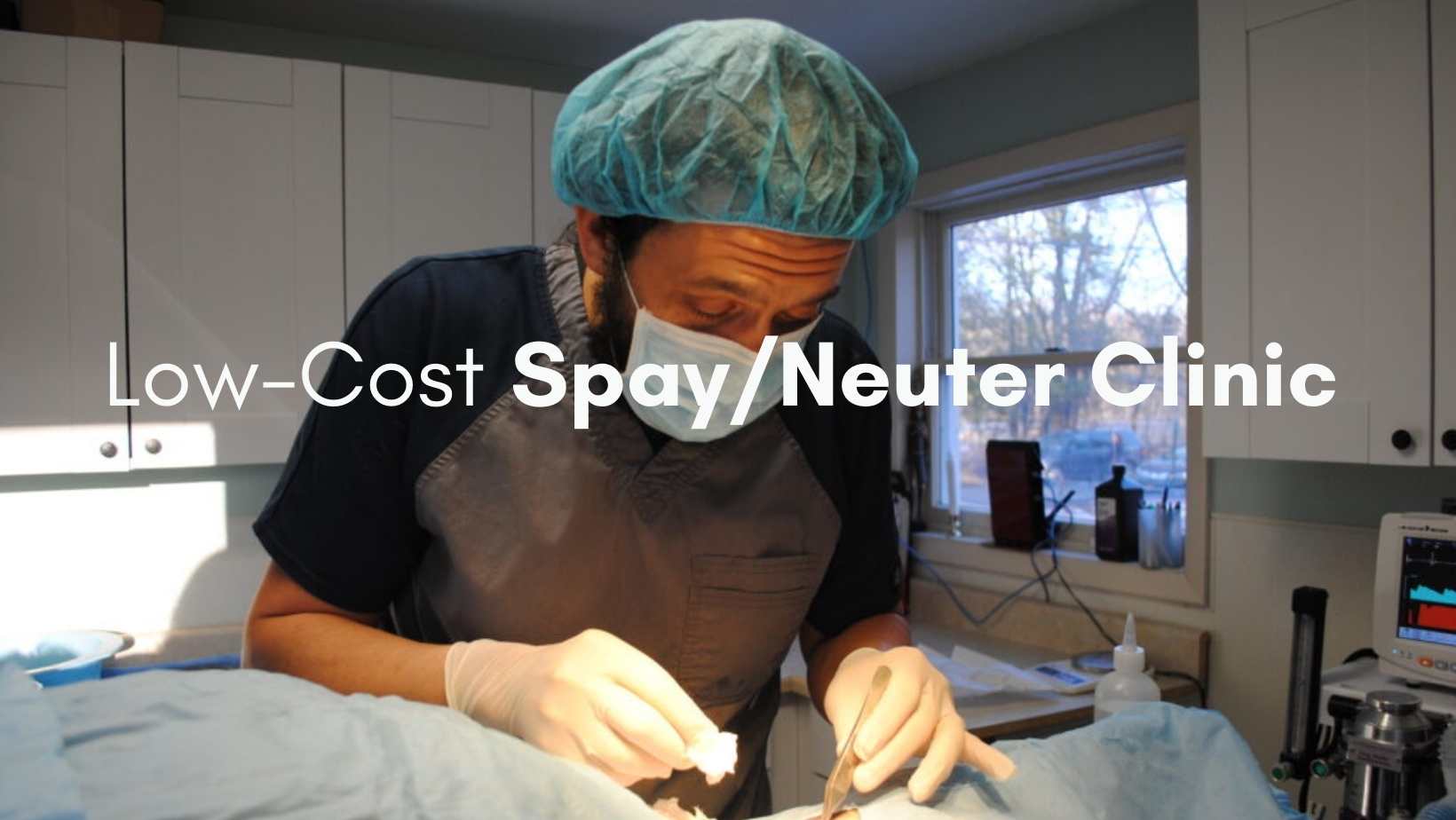 Local sales spay clinic