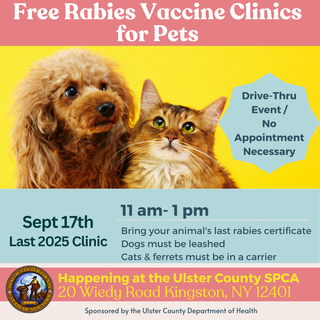 Can I Buy a Rabies Vaccine for My Dog: Essential Facts Revealed