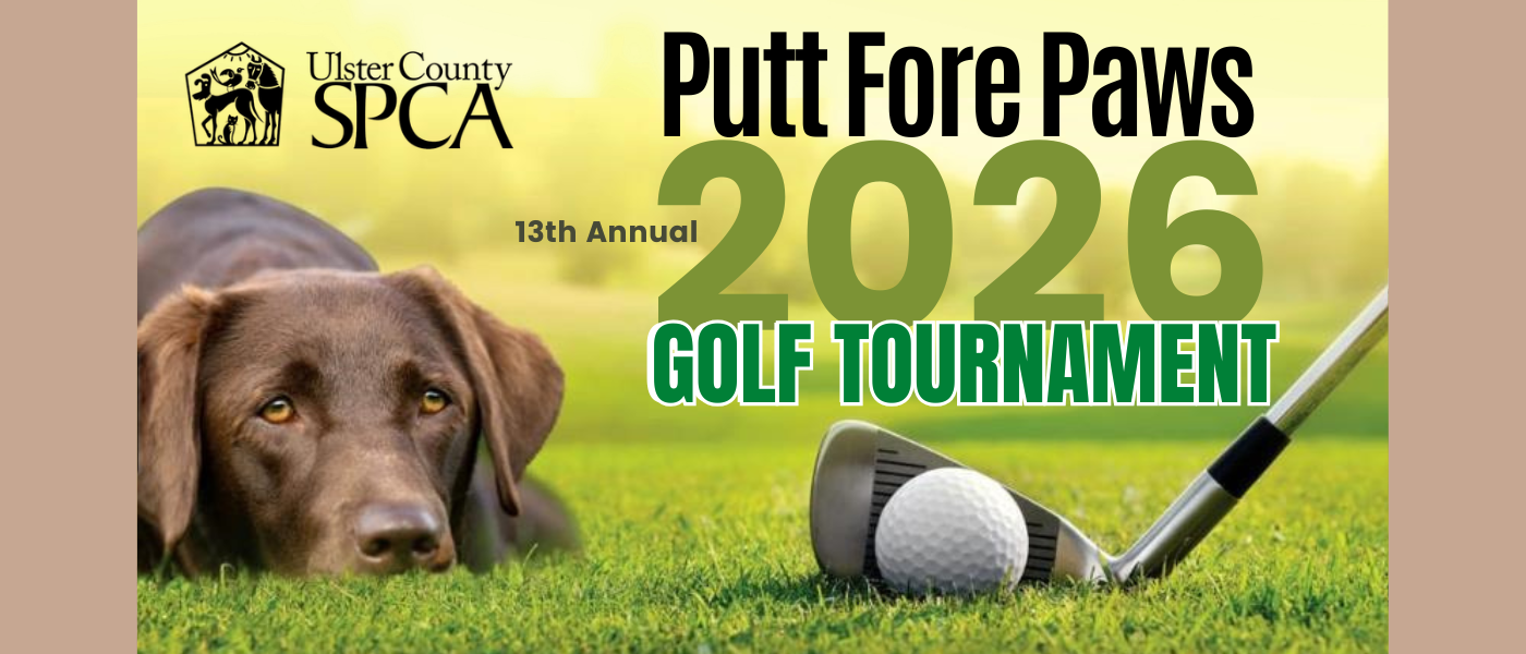2026 Putt Fore Paws Shirt Logo