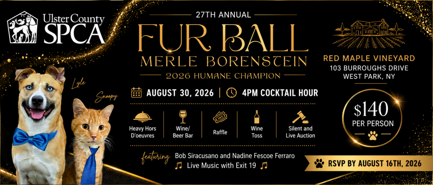 2026 Fur Ball