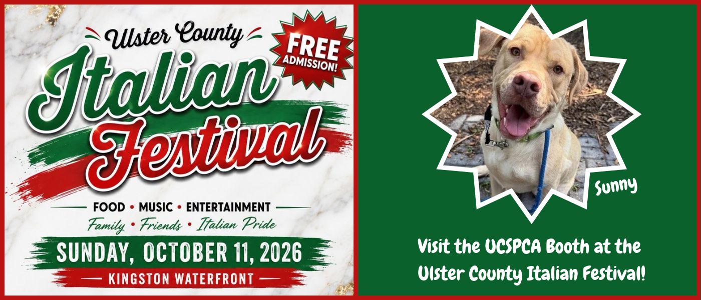 Ulster County Italian Festival