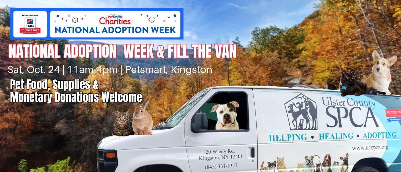 Adoption Event Website Slide Show