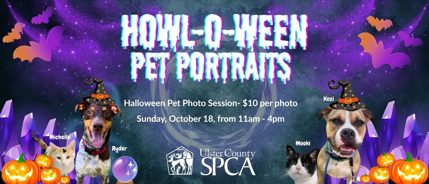 Howl-o-ween